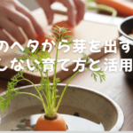 人参のヘタから芽を出すコツ！失敗しない育て方と活用レシピ
